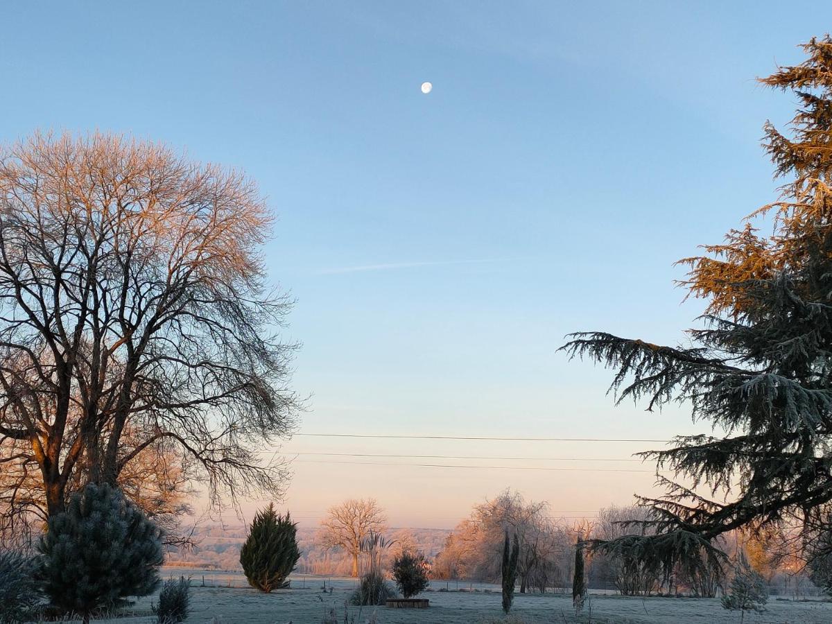 Domaine De Panissac Bed and Breakfast Berneuil  Esterno foto